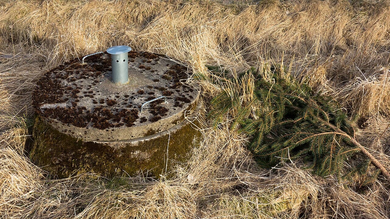 An old weathered concrete septic tank lid with a metal vent pipe sitting slightly above the surrounding grass on a rural property