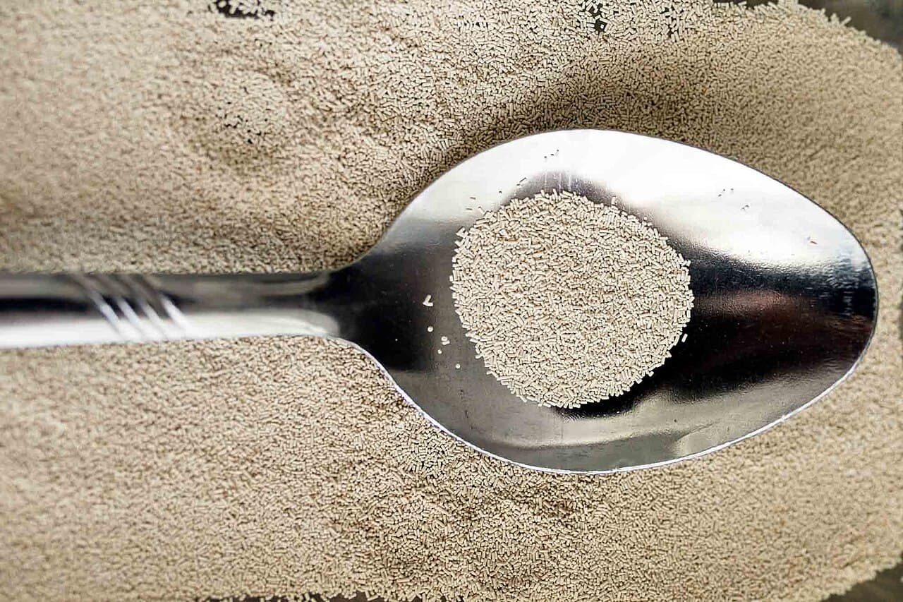 A close-up of a metal spoon heaped with active dry yeast granules resting on a bed of more yeast, the classic pantry remedy people are told to flush to feed a septic tank